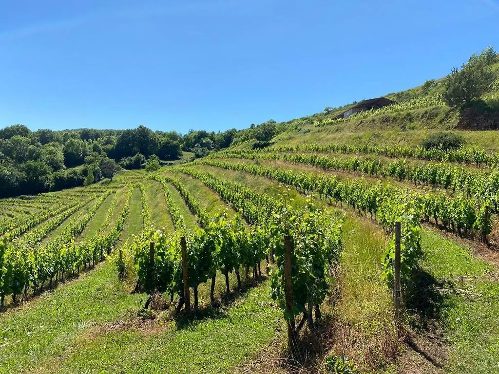 Le Gite Des Aubeles Saint-Félix-de-Lunel 0*,
